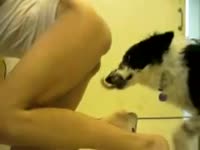 Filthy amateur satisfies her craving for oral sex by inviting her k9 to eat her shaved cunt